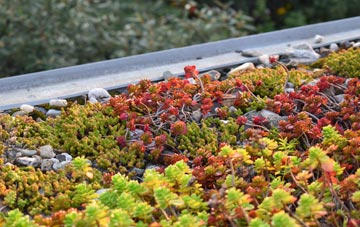 the cost of Robin Hoods Bay green roof installation