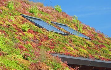 Robin Hoods Bay living roof systems