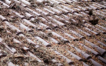 Robin Hoods Bay roof cleaning companies